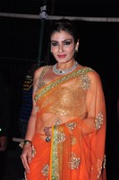 Raveena Tandon Photos